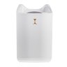 Увлажнитель воздуха White ZK-503 Double Nozzle Humidifier