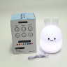 Детский беспроводной силиконовый светильник-ночник Bonny  USB   с 3 режимами работы