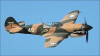 Радиоуправляемый самолет Art-Tech P-40 Warhawk 200 Class 2.4G RTF - 21153